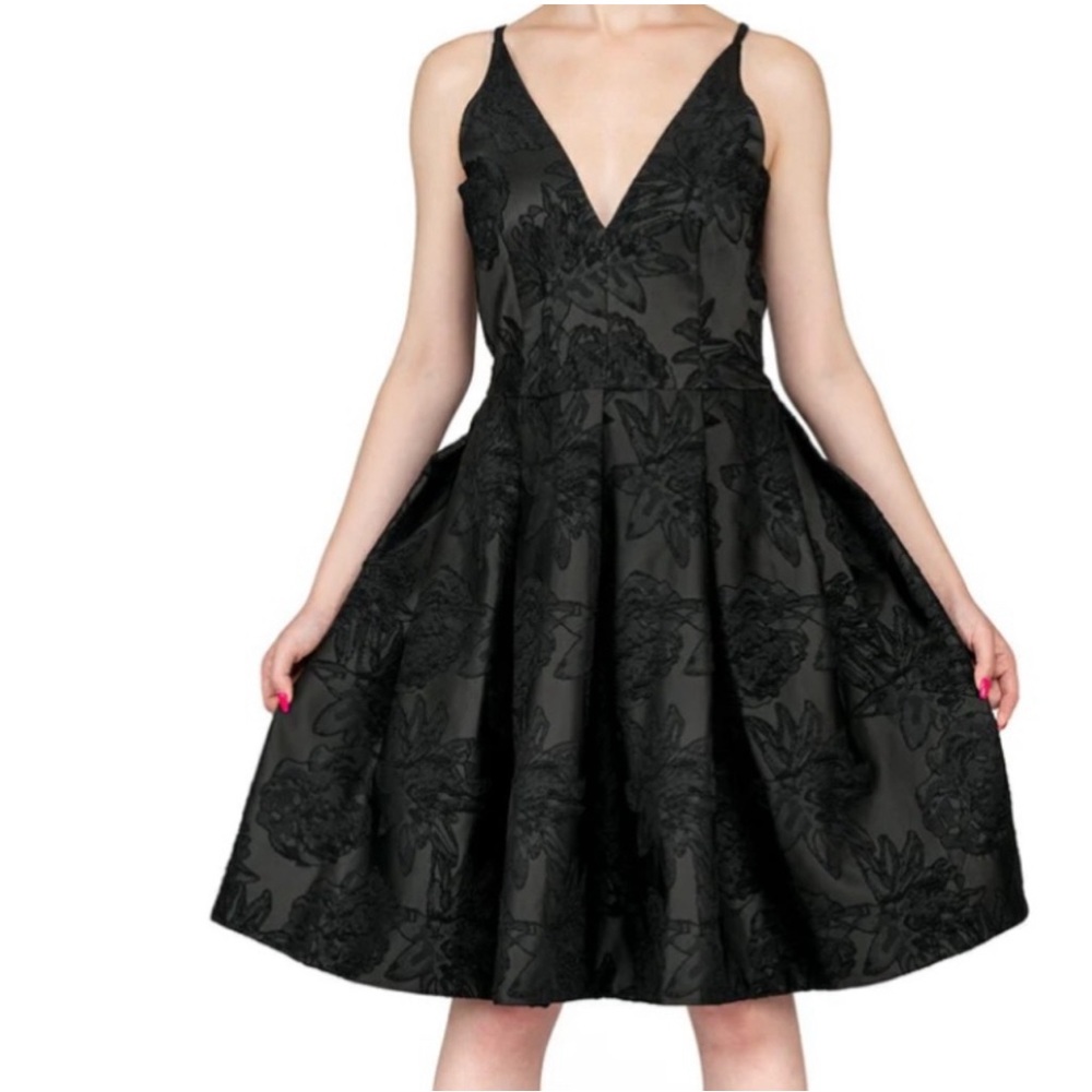 Dress the population black skater dress